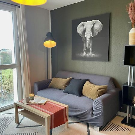 Le Colorado - Appartement Proche Airbus Colomiers Εξωτερικό φωτογραφία